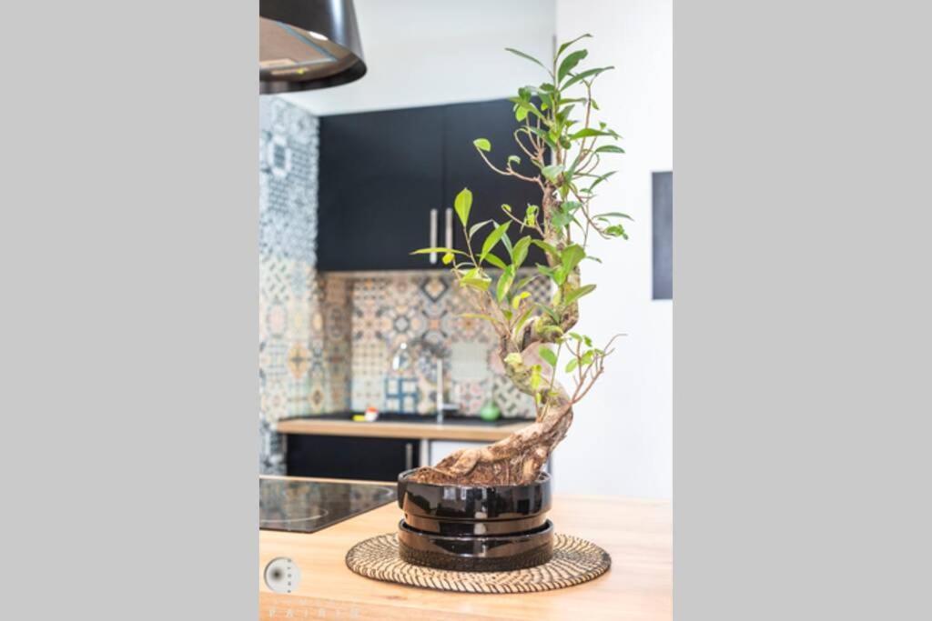 Cosy Apartamento